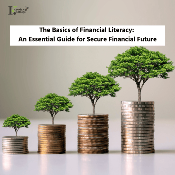 Introduction to Financial Literacy, Free PDF Download