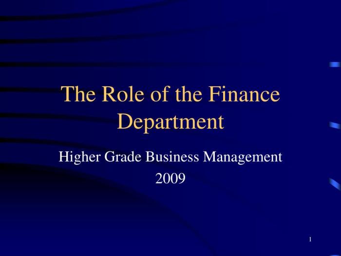 ROLE OF FINANCE DEPARTMENT IN SMALL BUSINESSES - Instaloverz