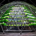 Hydroponic garden Green Sphere, Tokyo Dome, Tokyo