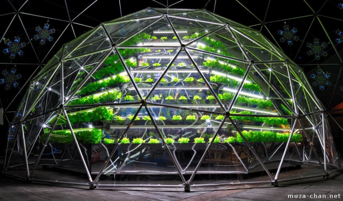 Hydroponic garden Green Sphere, Tokyo Dome, Tokyo
